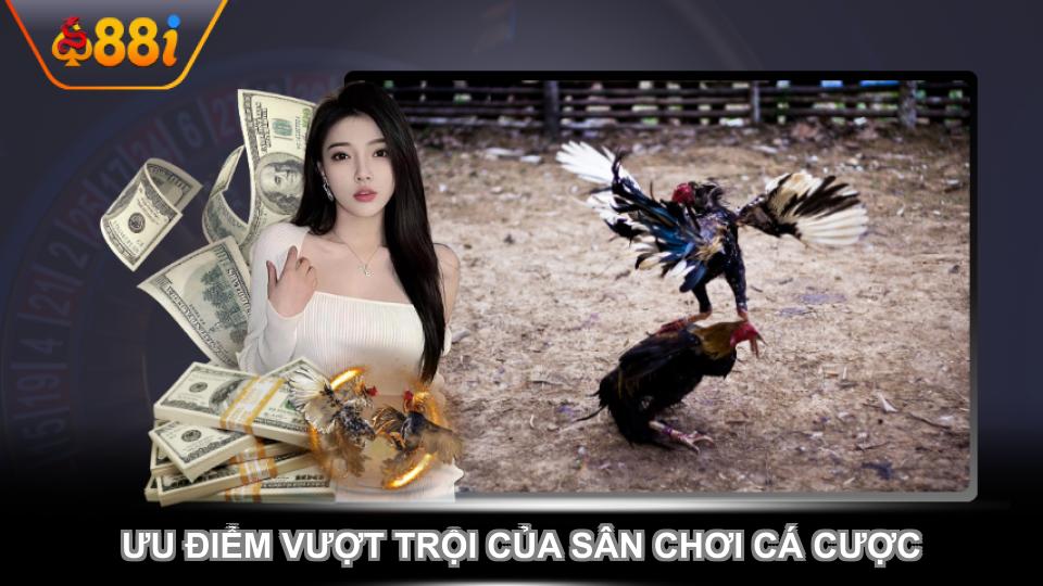 Ưu điểm vượt trội của sân chơi cá cược